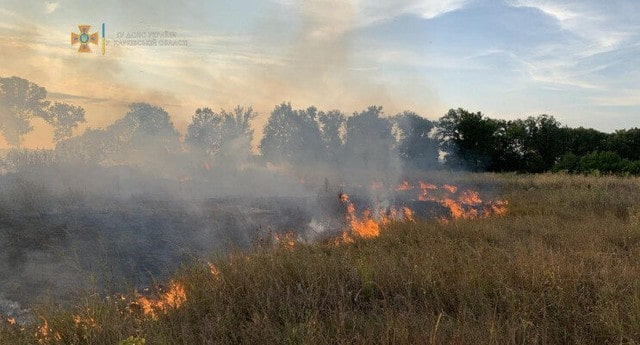 В области объявлен чрезвычайный уровень пожароопасности