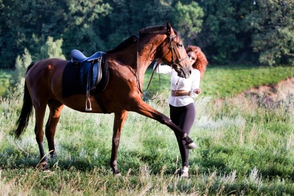 В Харькове создают пособие по туризму