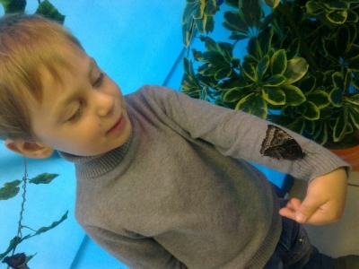 Открылась выставка живых бабочек