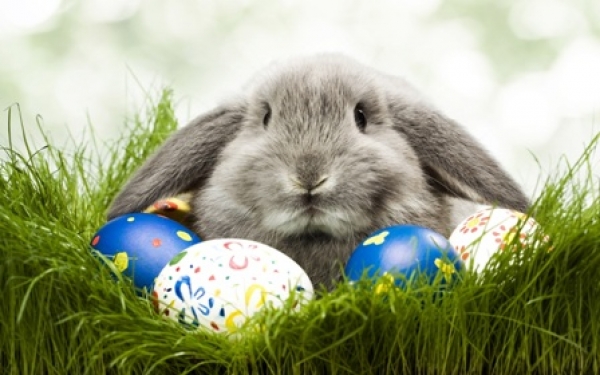 4,5 тыс. сотрудников ГАИ будут следить за порядком