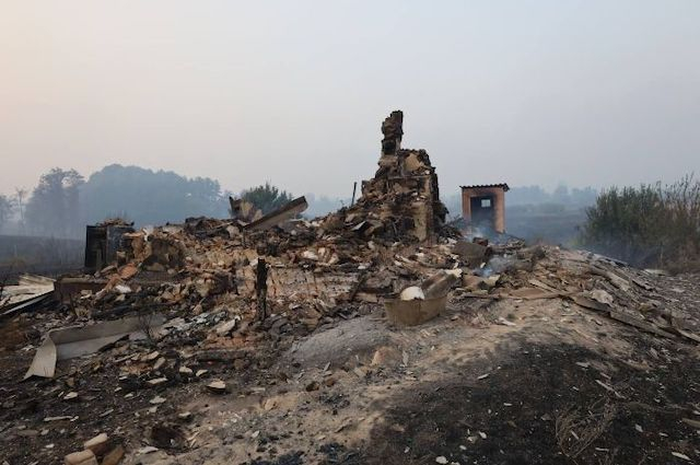 Масштабный лесной пожар на Харьковшщине тушили 10 дней