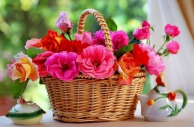 Какие цветы должны быть в доме обязательно по народным приметам (фото)