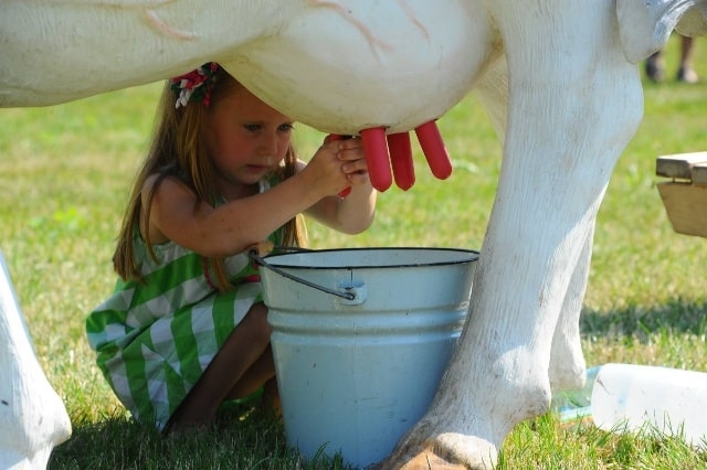 Интернет-магазин Damilk в Харькове ➨ лучшие доильные аппараты в Украине