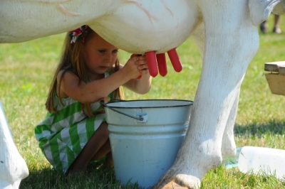 Интернет-магазин Damilk в Харькове ➨ лучшие доильные аппараты в Украине