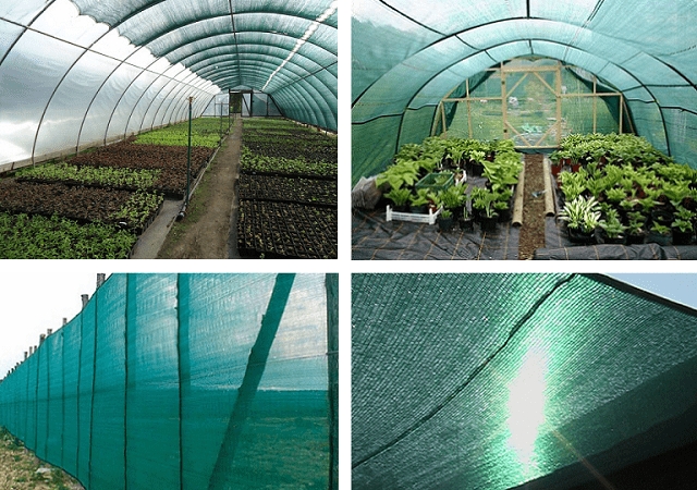 Затеняющая сетка для огорода: что это такое, особенности, применение