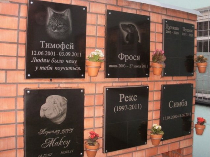 В Харькове откроют кладбище домашних питомцев