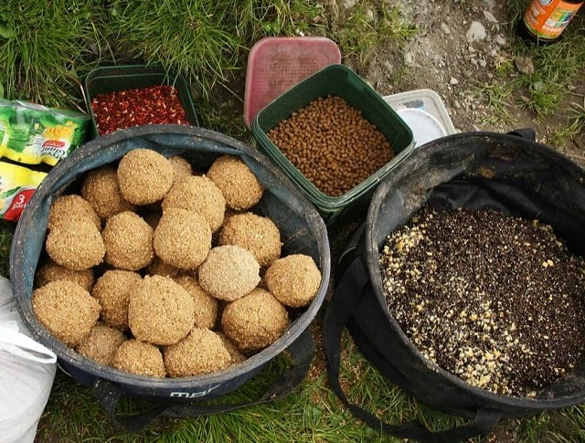 Прикормка для рыбалки: виды и особенности, какая лучше