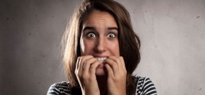 Жителей Харькова испугала огромная змея