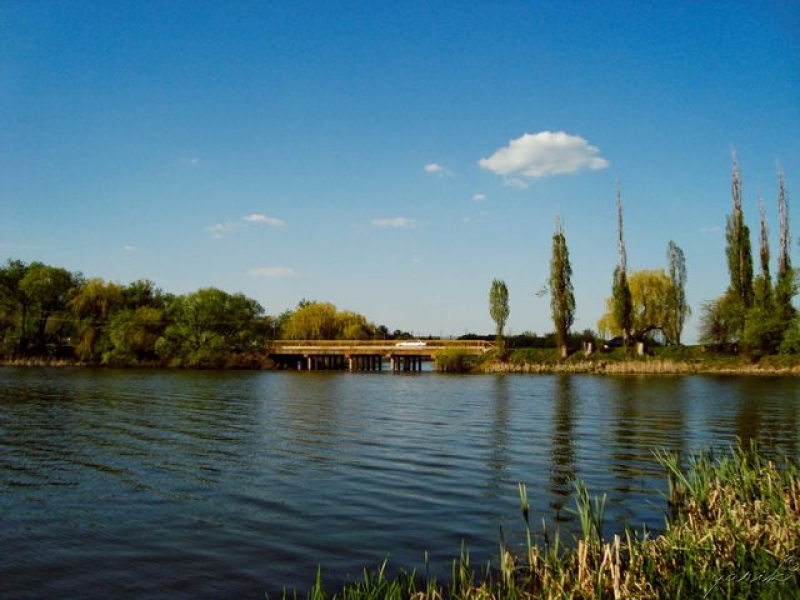 В водоеме одного из детских лагерей опасно купаться