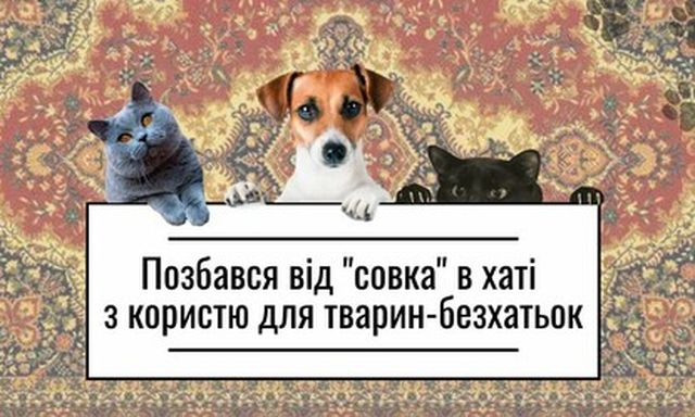 Харьковский приют для бездомных животных просит о помощи