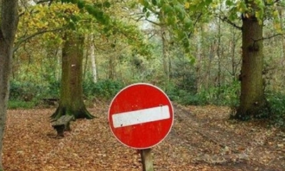 На территории Харьковщины запрещено посещать леса – высокая пожарная опасность