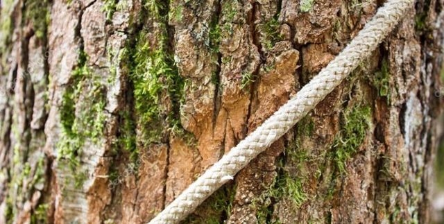 Задержаны подозреваемые в похищении и пытках человека