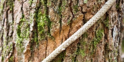 Задержаны подозреваемые в похищении и пытках человека