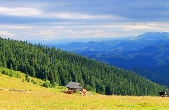 Де відпочити в Карпатах: огляд доступних пропозицій із Хмельницького