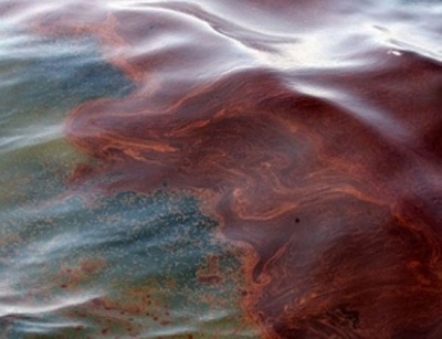 В Северском Донце обнаружили масляное пятно