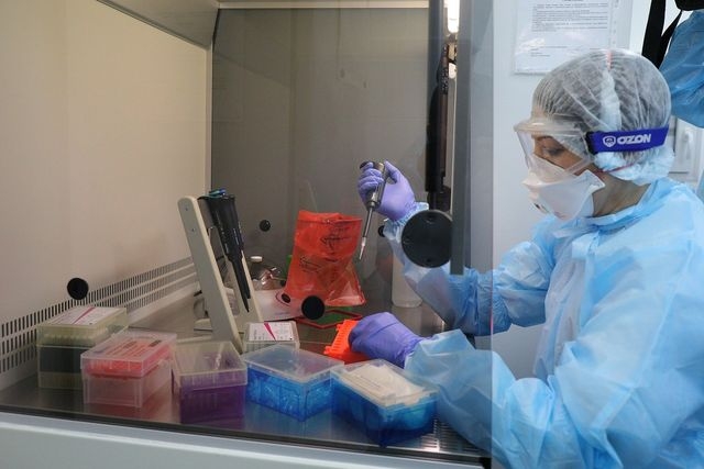 Почти у 50-ти больных пневмонией подтвердилось заражение коронавирусом