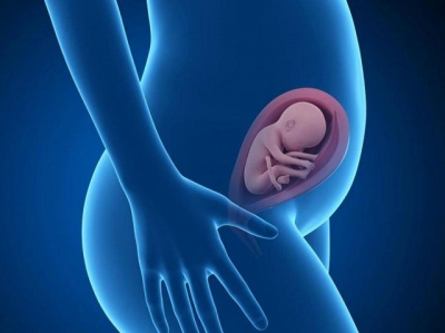 21 тиждень вагітності: що відбувається з малюком і мамою