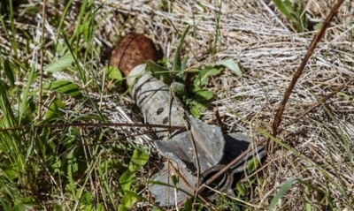 В Чугуевском районе на мине подорвался энергетик Харьковского РЭС