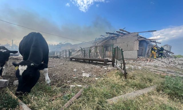 Российские войска нанесли бомбовый удар по ферме в Малой Даниловке