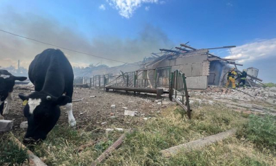 Российские войска нанесли бомбовый удар по ферме в Малой Даниловке