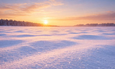 Январские морозы не повредили озимую пшеницу на полях Харьковщины