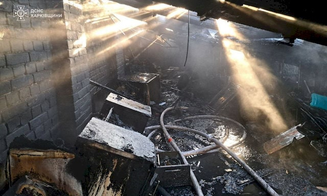 Во время пожара погибли 20 котов, их хозяйка не пострадала