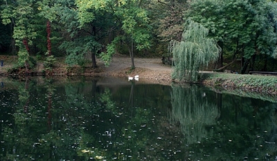 Дендропарк нуждается в реабилитации