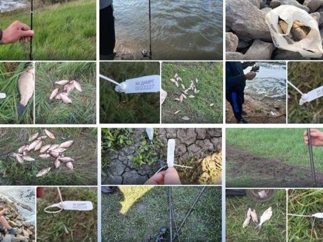 На заполненном днепровской водой водохранилище замечены браконьеры