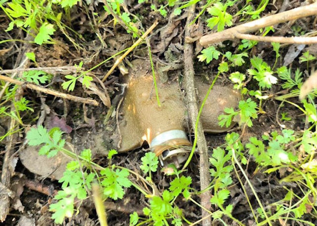 71-летняя жительница Изюмского района наступила на «Лепесток»