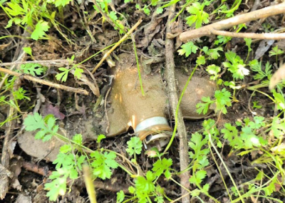 71-летняя жительница Изюмского района наступила на «Лепесток»