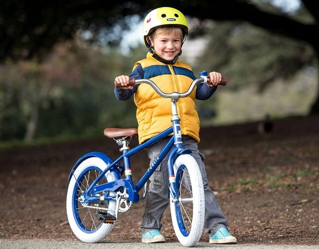Особенности выбора велосипеда для ребенка дошкольного возраста
