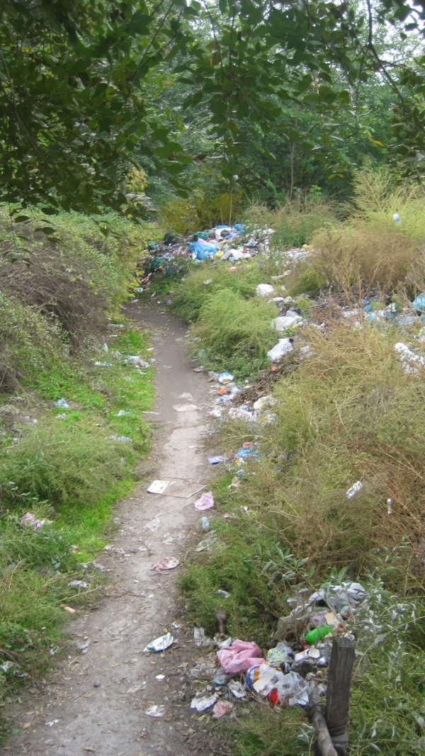 Комиссия будет следить за чистотой в частном секторе