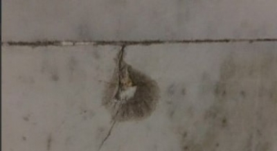 Станция «Научная» - в полиции сообщили подробности ночной стрельбы