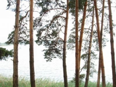 Уникальный Двуречанский заповедник расширят