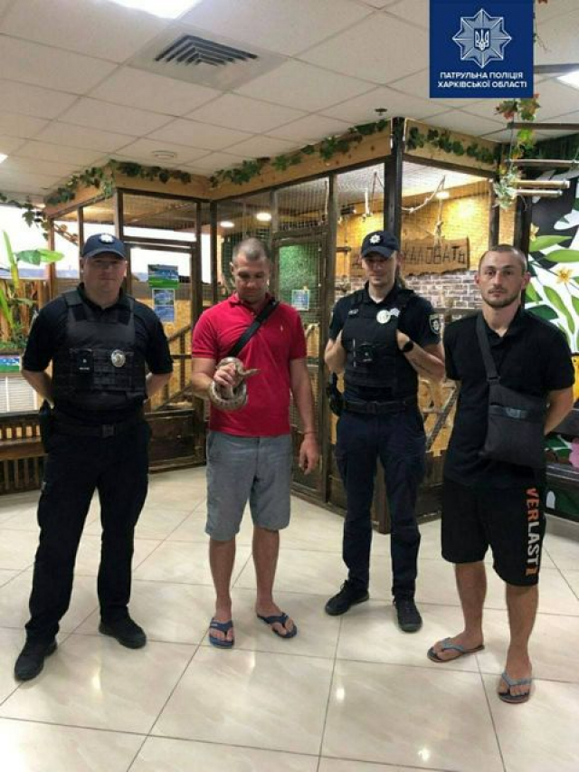 Питон в квартире – жительница Харькова попросила помощи у полицейских