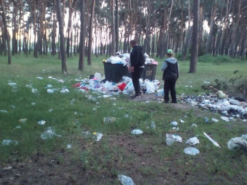 По стопам Львова: Журавлевку завалило мусором (фото)