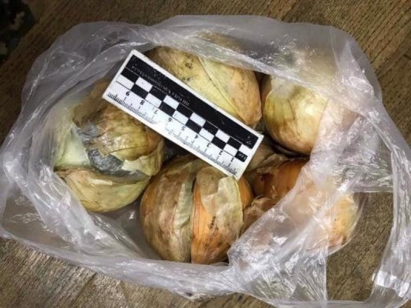 Пес помог пограничникам задержать контрабанду наркотиков (видео)