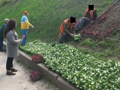 Харьковчанин, дабы погасить долги по алиментам, высаживает на местных клумбах цветы