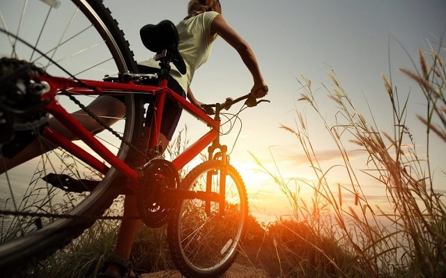 Велосипеды и Вы