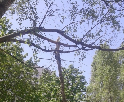 В Харькове до сих пор не устранили последствия апрельской непогоды