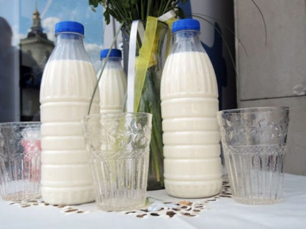 На Харьковщине дорожает молоко