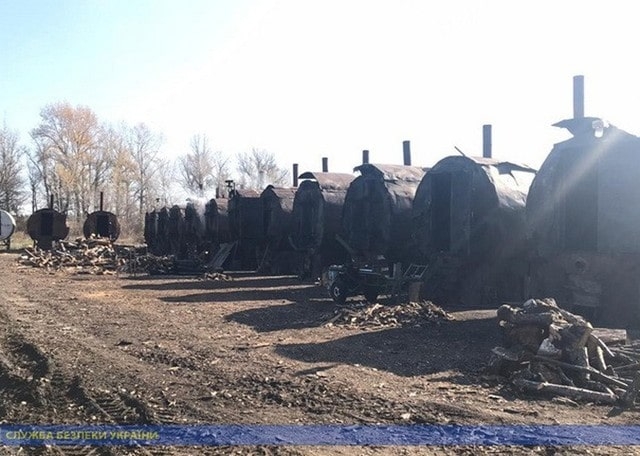 22 банды «черных» лесорубов причинили убытков на 21 млн грн