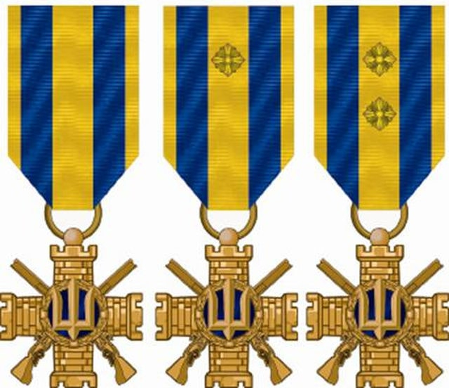 Харьковчанин награжден Крестом Сил территориальной обороны