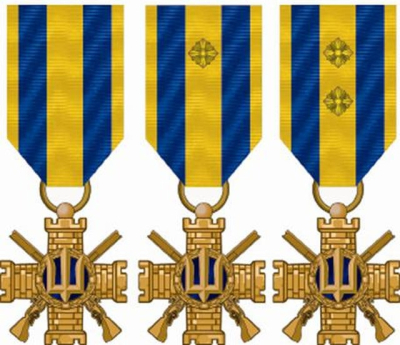 Харьковчанин награжден Крестом Сил территориальной обороны