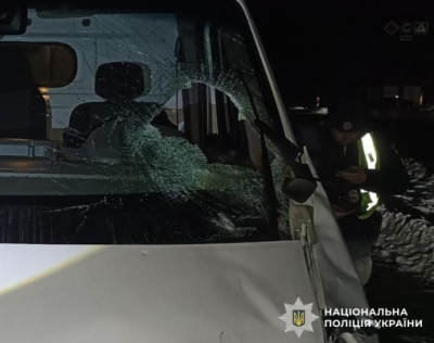 Задержан водитель, сбивший насмерть двоих пешеходов