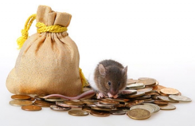 На Харьковщине бюджет выполнили на 100,9%