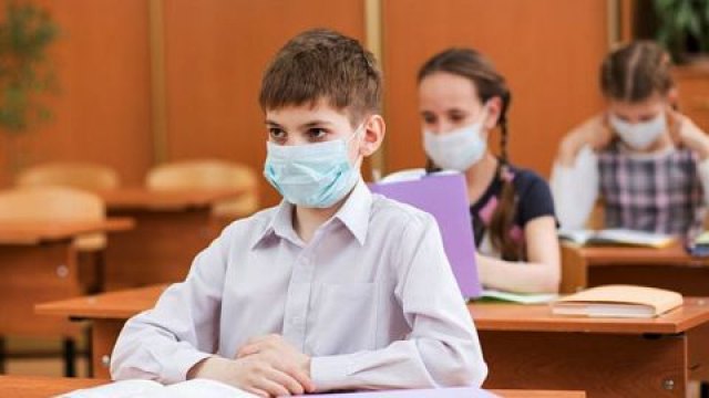 В области осталась только одна школа с дистанционным обучением