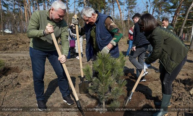 В Харькове стартовала высадка 20 тыс. сосен в бору на Журавлевке