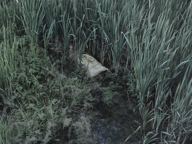 В речке Хотомелька обнаружили сотни мертвых кур