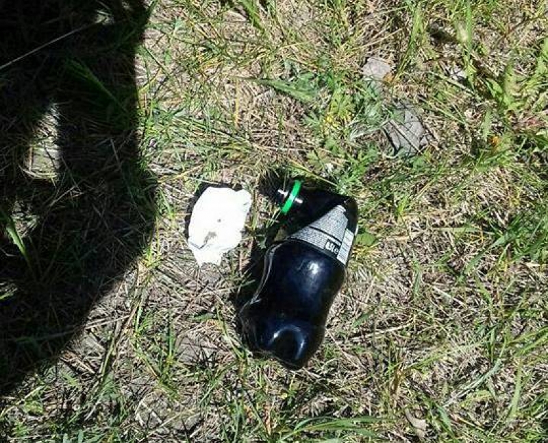 «Отдыхающие» на местном пляже удивили харьковчан